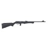 carabine 8117 17hmr